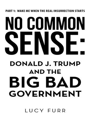 cover image of No Common Sense
